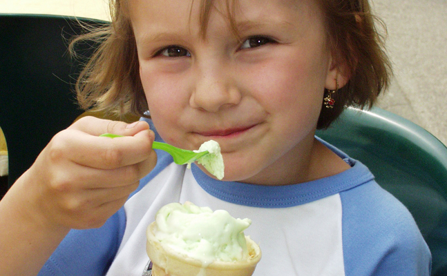 Das neue Waidhofner Eis - Milchcreme/Zwetschke begeistert Groß und Klein 