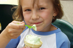 Das neue Waidhofner Eis - Milchcreme/Zwetschke begeistert Groß und Klein 